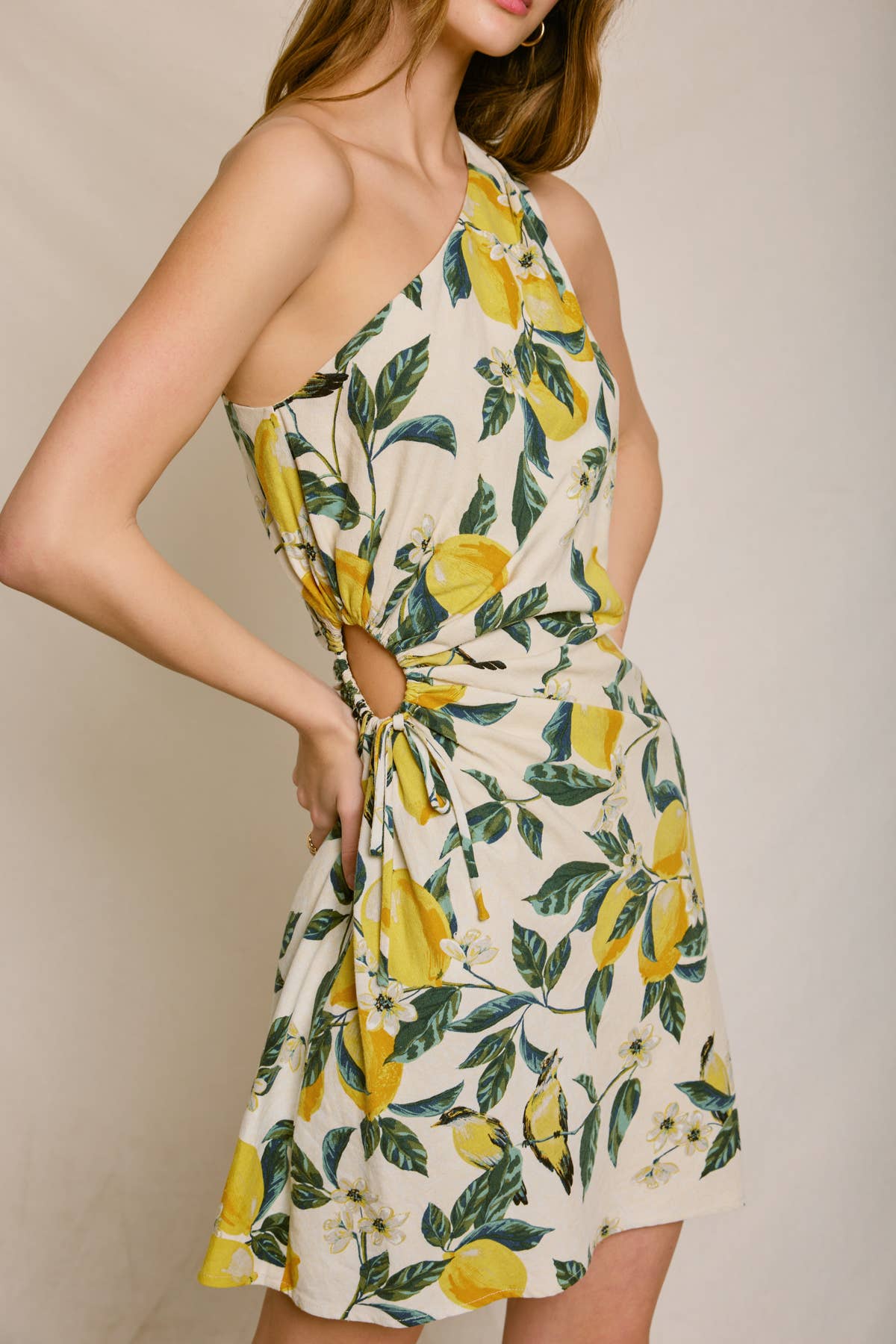 Brigitta Dress