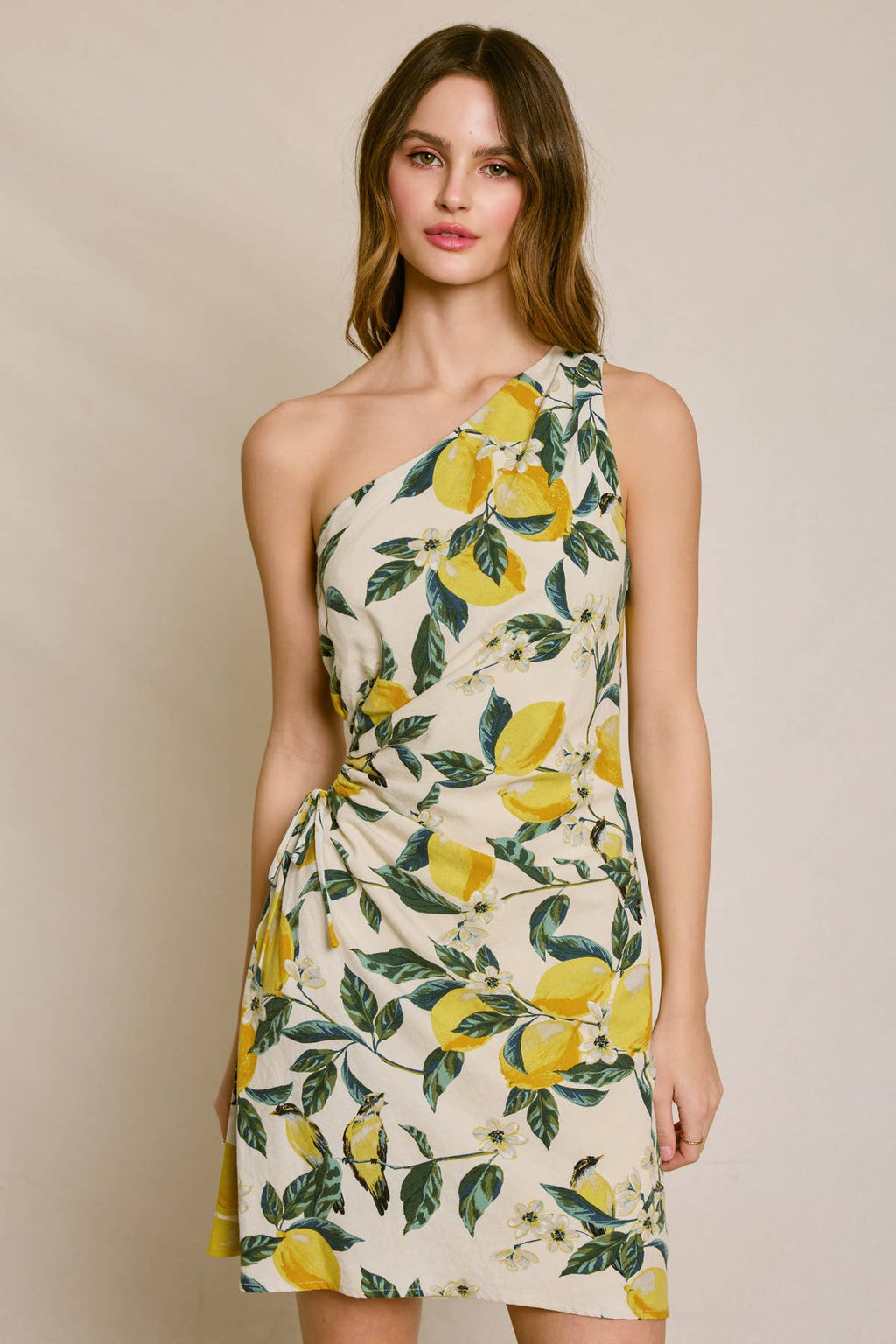 Brigitta Dress