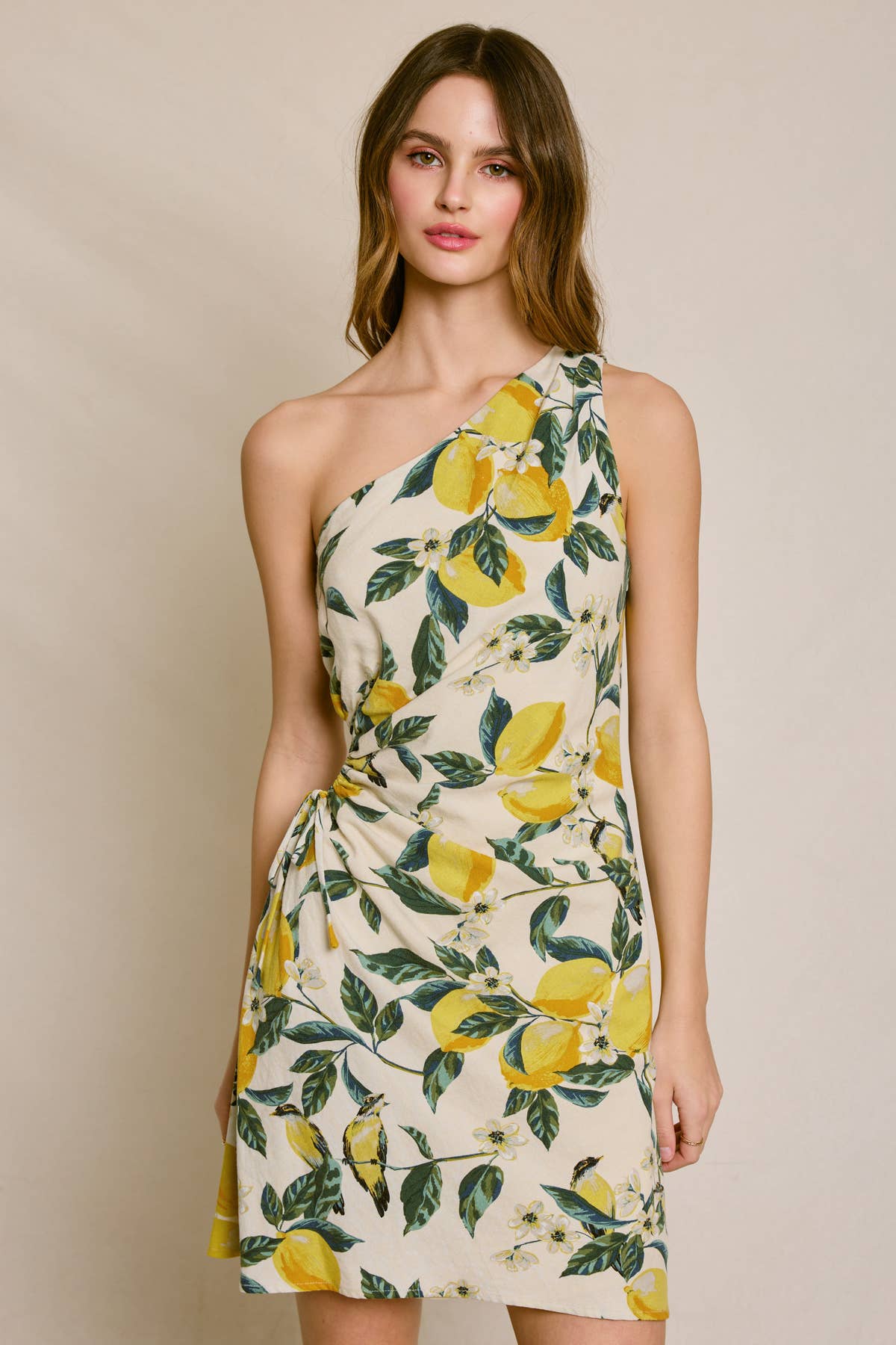 Brigitta Dress